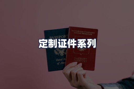 定制证件系列